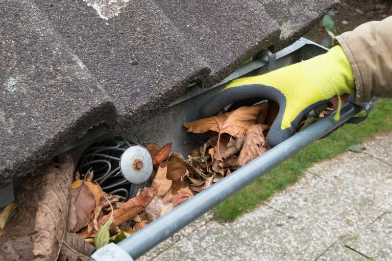 Gutter Inspection Tools